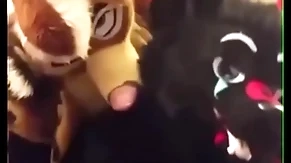 Fursuiters fuck in bathroom while bottom moans loudly
