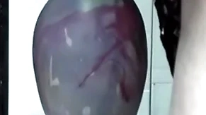 Colossal insertion gapes his botheration
